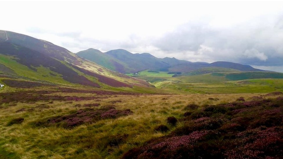 Pentland Hills skyline