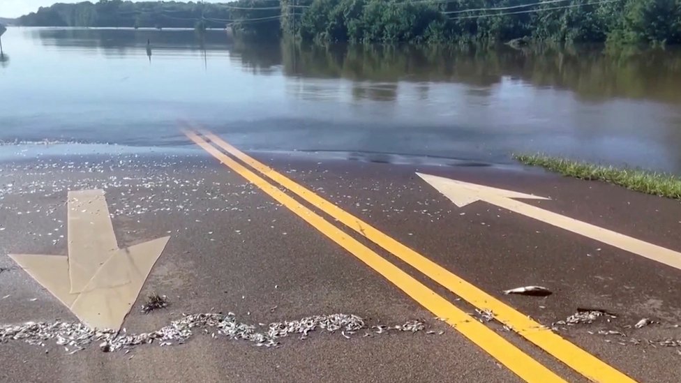 Una carretera inundada en misisipi