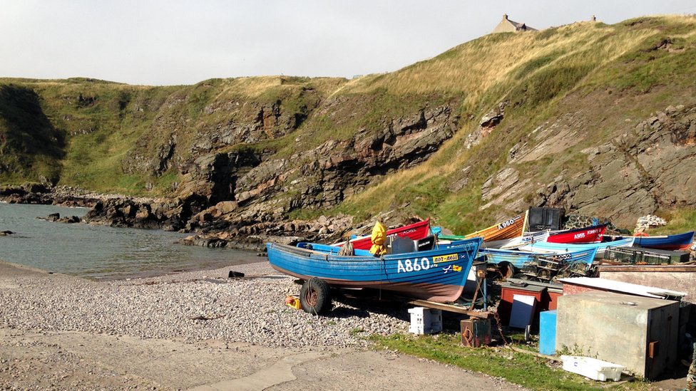 Cove Harbour wrangle campaign raises £1,000 BBC News
