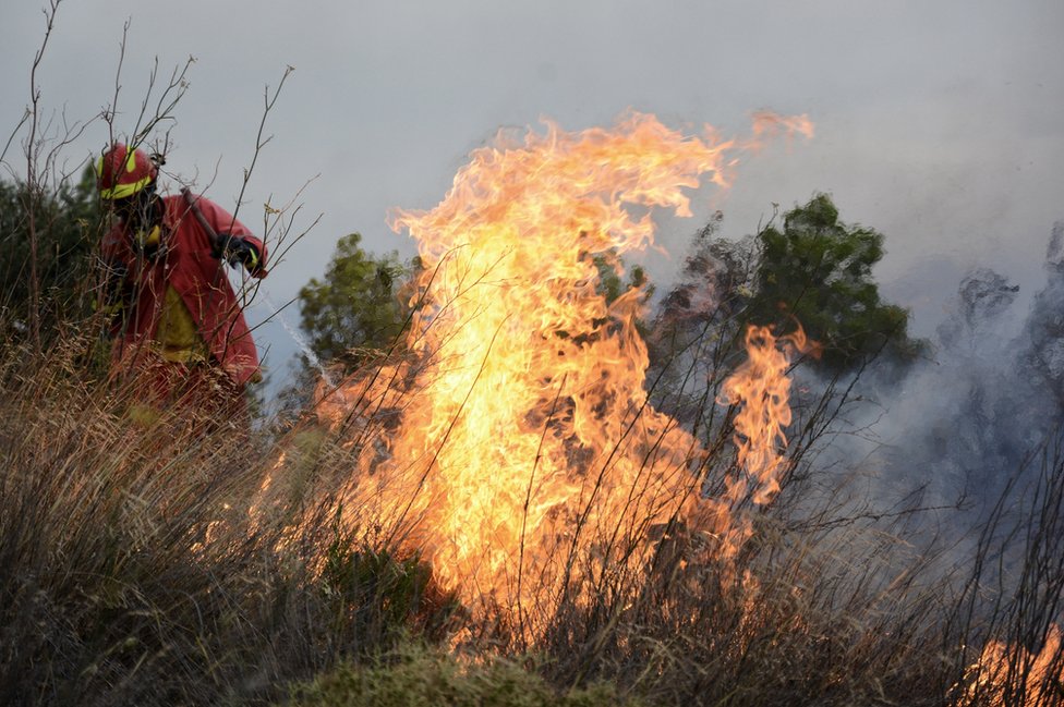 Bomberos intentan apagar el pasto seco en llamas en Grecia