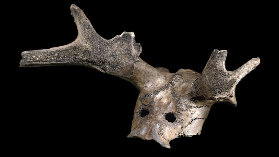 Маска из рога оленя - любезно предоставлено попечителями Британского музея