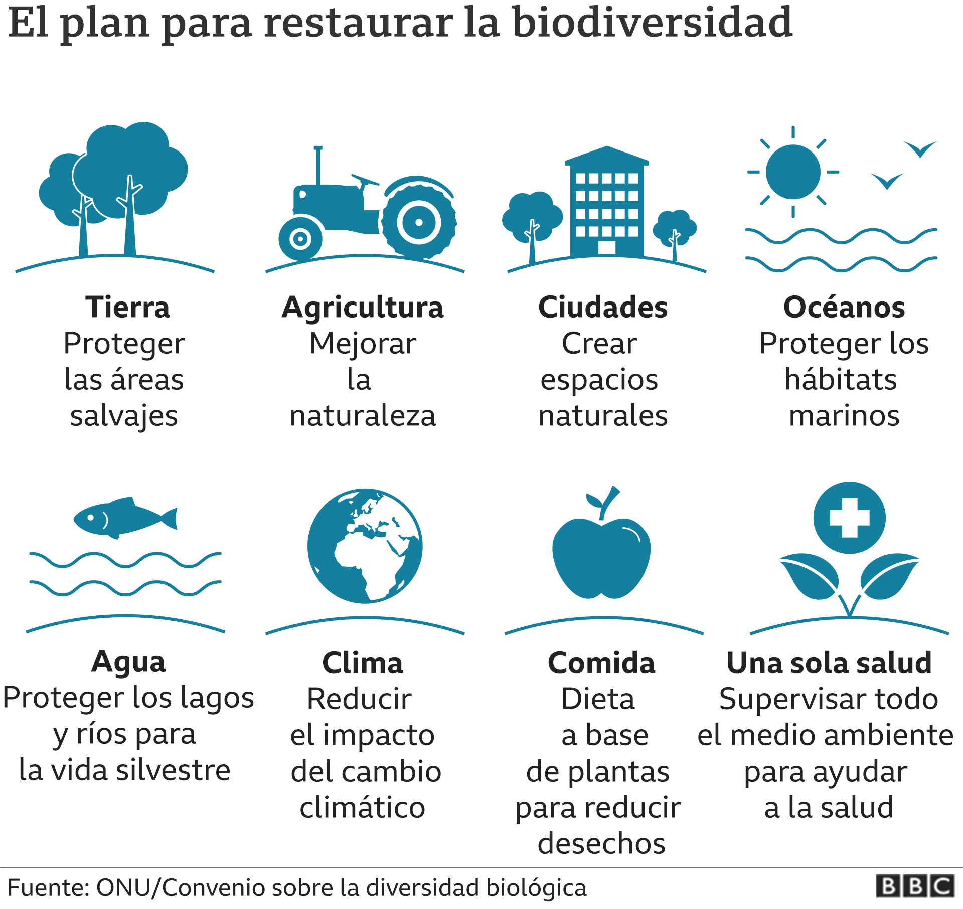El plan para restaurar la biodiversidad.