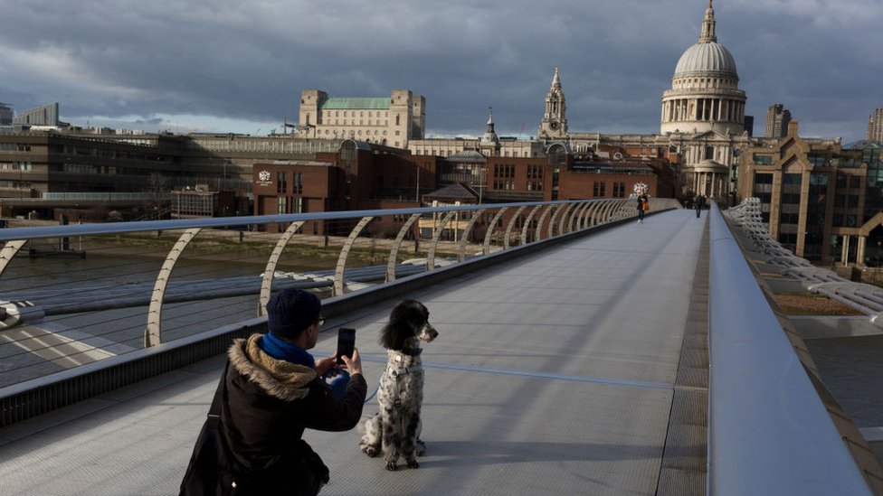 Мужчина фотографирует свою собаку на заброшенном мосту Миллениум в Лондоне