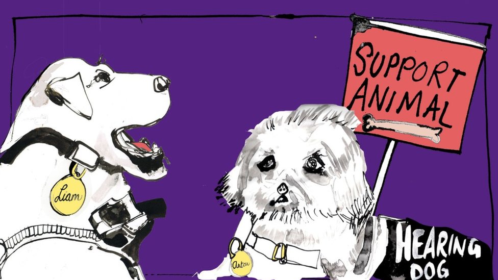 Иллюстрация двух собак поддержки - собаки-поводыря и собаки-слуха