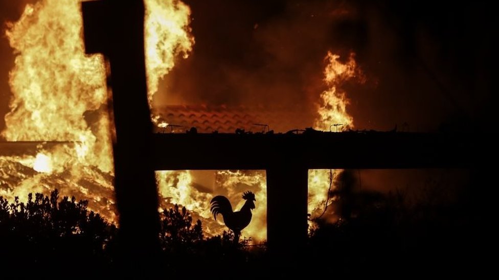 Un gallo decorativo en una casa en llamas en Mati, un barrio al noreste de Atenas, Grecia, el 23 de julio de 2018