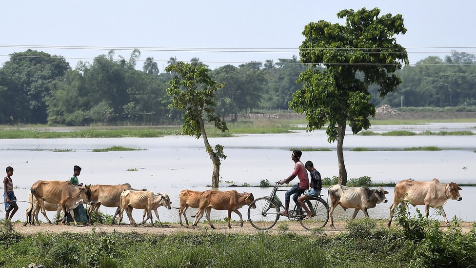 No siempre la vida en el campo es más saludable. Campo en India