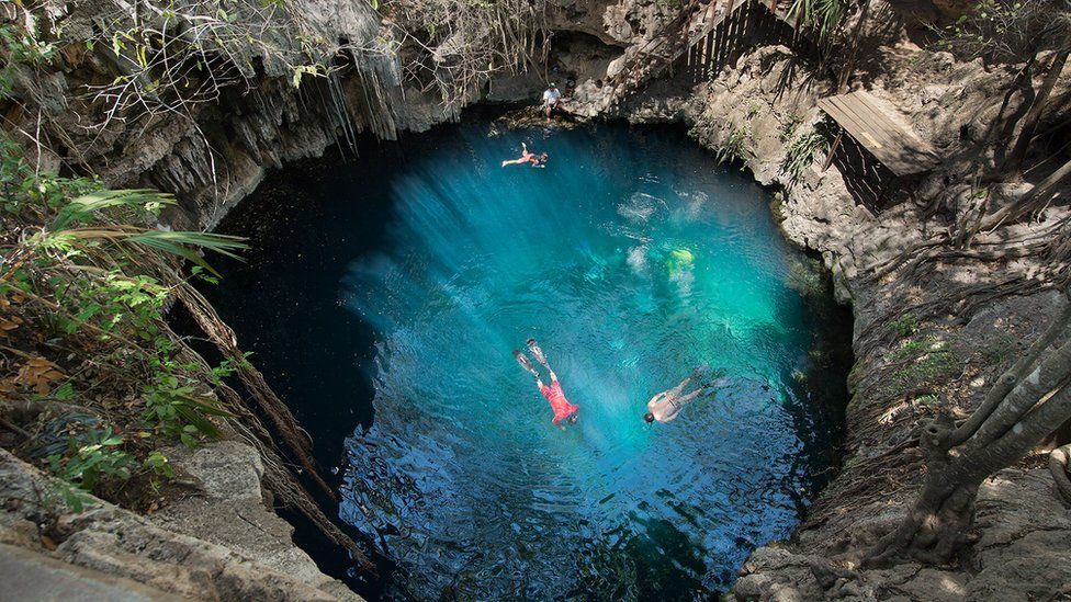 Estos pozos con agua llamados cenotes se formaron en las rocas calizas que cubren el cráter. Cenote