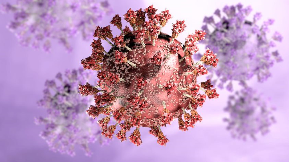 Ilustração de um coronavírus