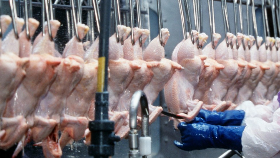 Chicken being processed in Arkansas, US