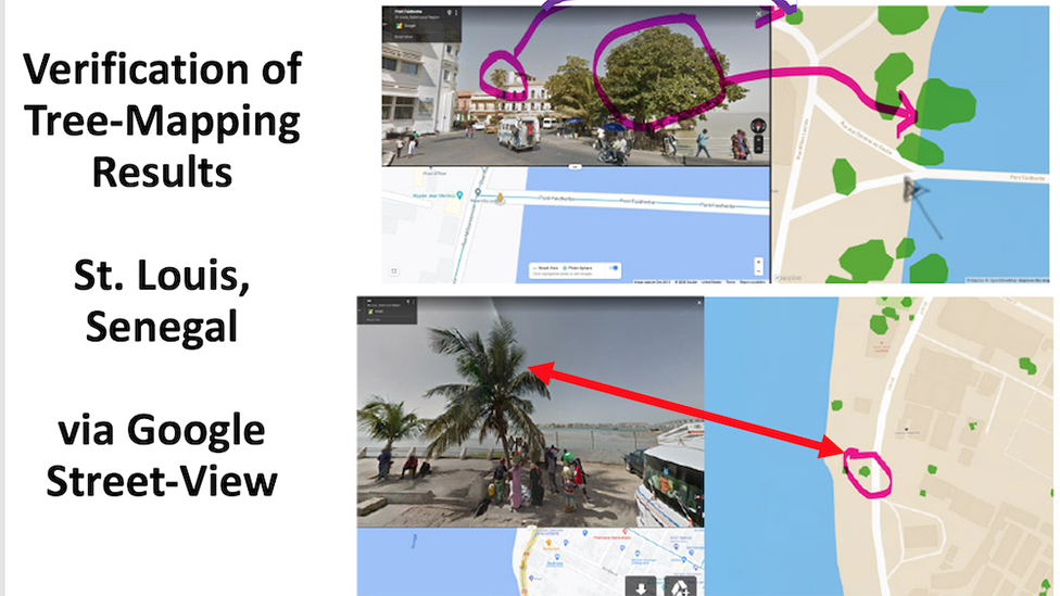 Imágenes de Google Maps mostrando la presencia de árboles