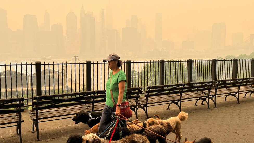 A dogwalker is seen passing the haze-obscured NYC skyline