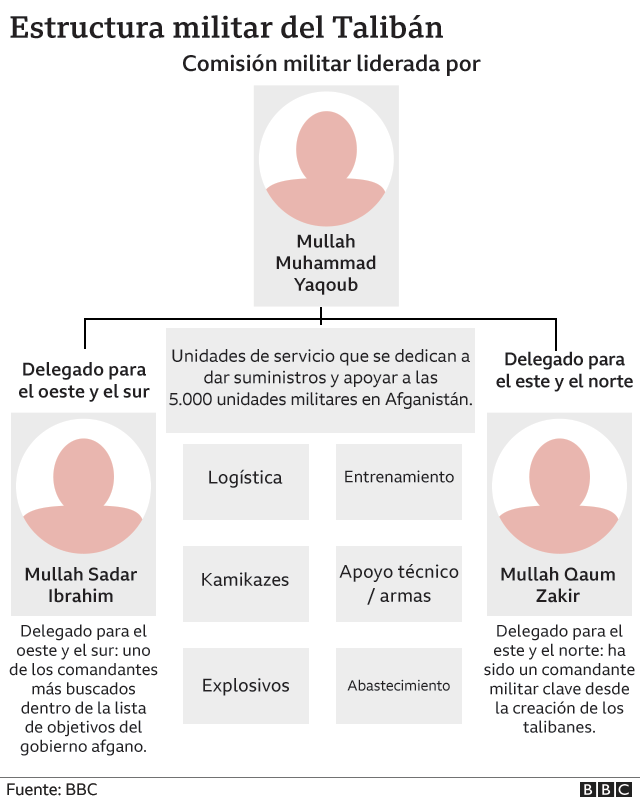 Estructura militar del Talibán.