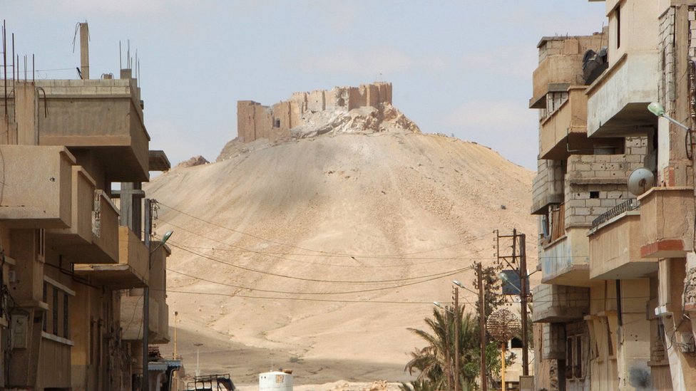 На снимке, сделанном 27 марта 2016 года, видна цитадель древнего города Пальмира со стороны жилого квартала современного города после того, как сирийские войска отбили город у группировки Исламское государство (ИГ).