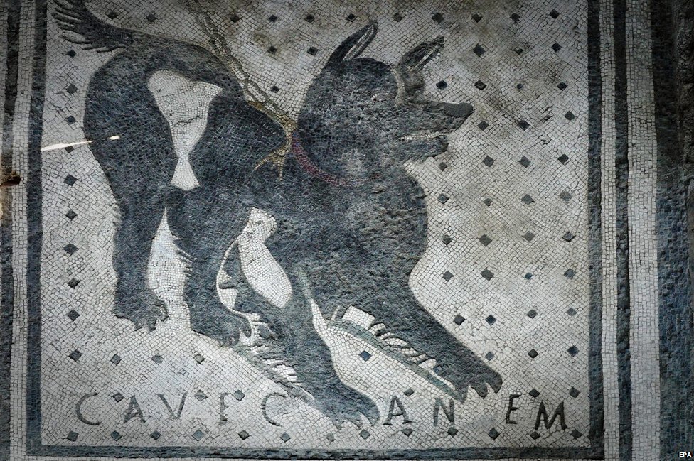 Pompeii Guard Dog Mosaic Back On Show c News