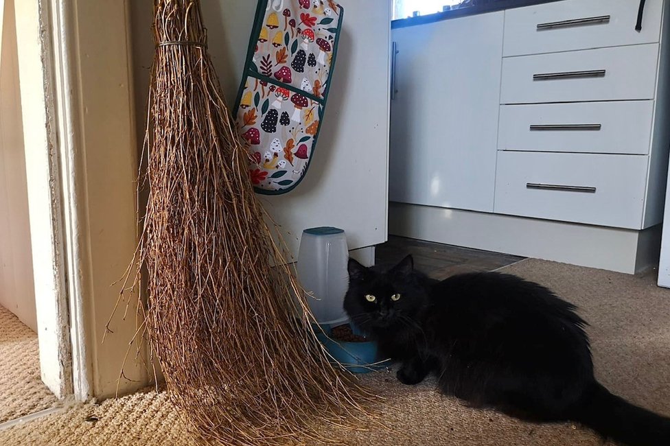 Una escoba de bruja y un gato negro llamado Cairn