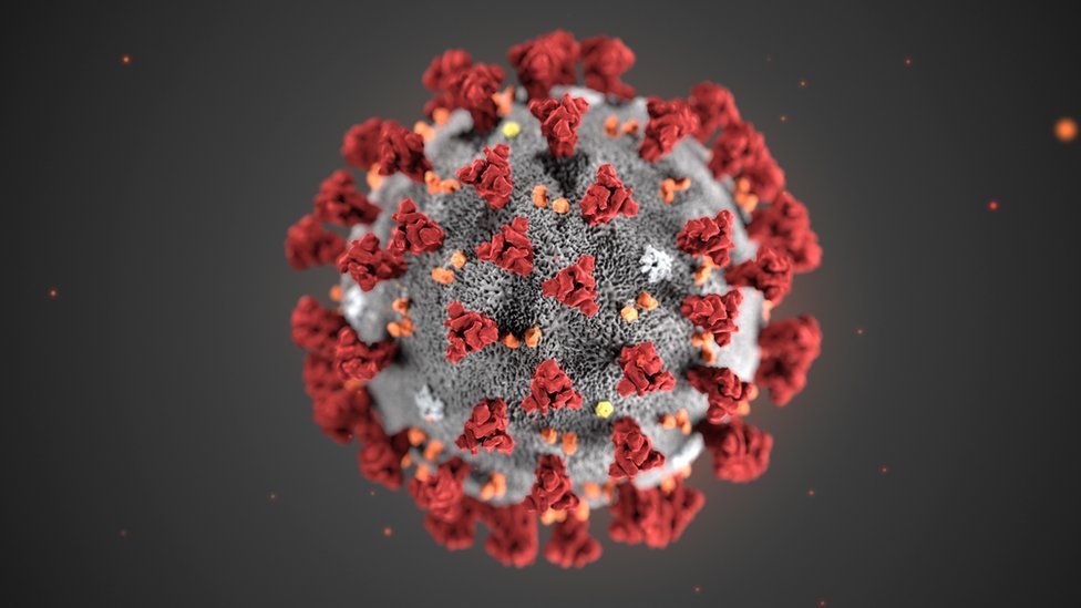 Koronavirüsün üzerindeki çıkıntılar bağışıklık sistemini aktive ediyor