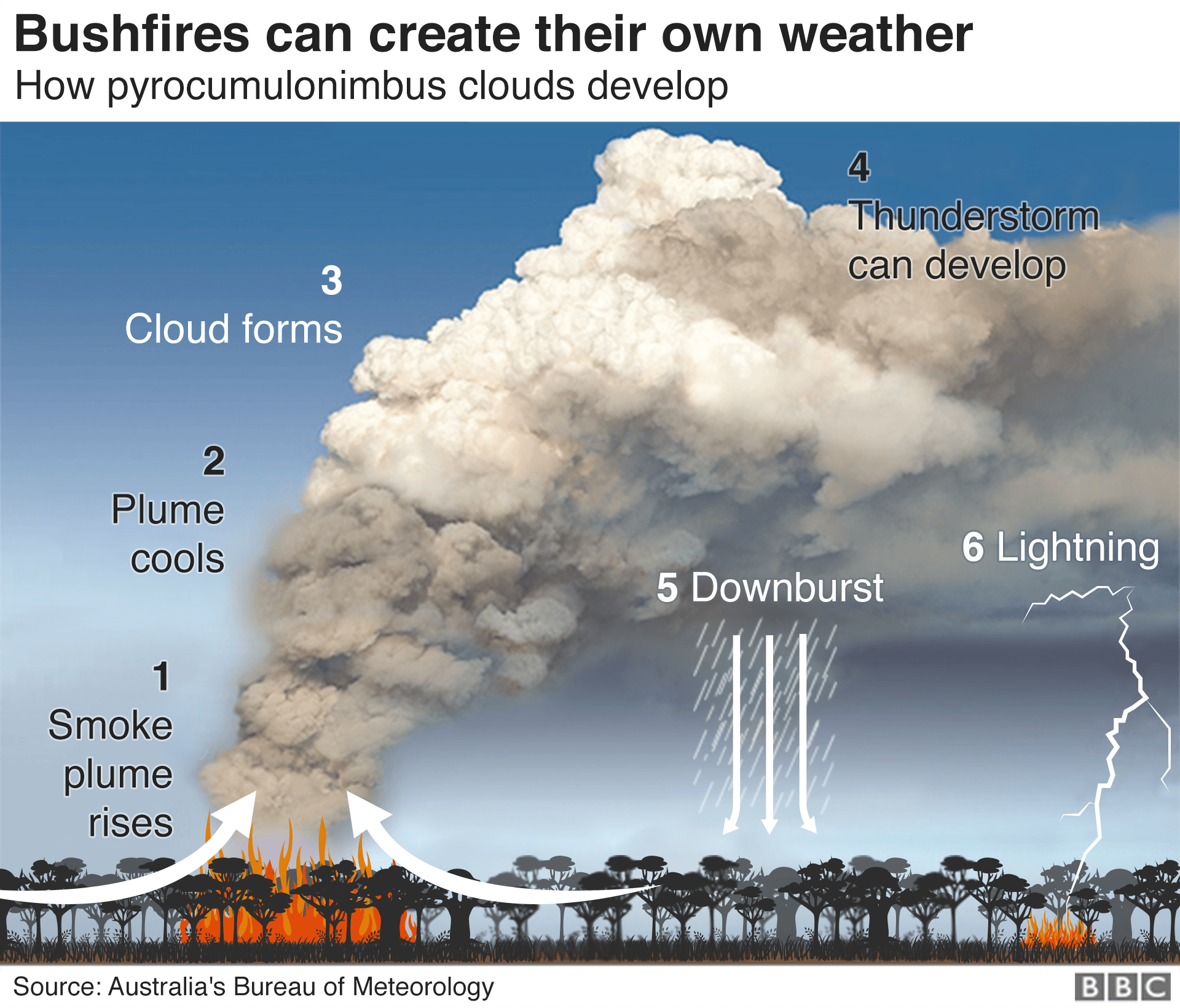 Как лесные пожары могут создавать собственную погоду