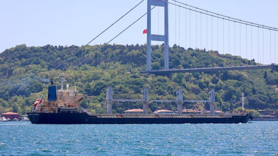 Rus bandıralı Matros Pozynich kuru yük gemisi 22 Mayıs günü Boğazlar'dan Akdeniz yönüne doğru geçmişti