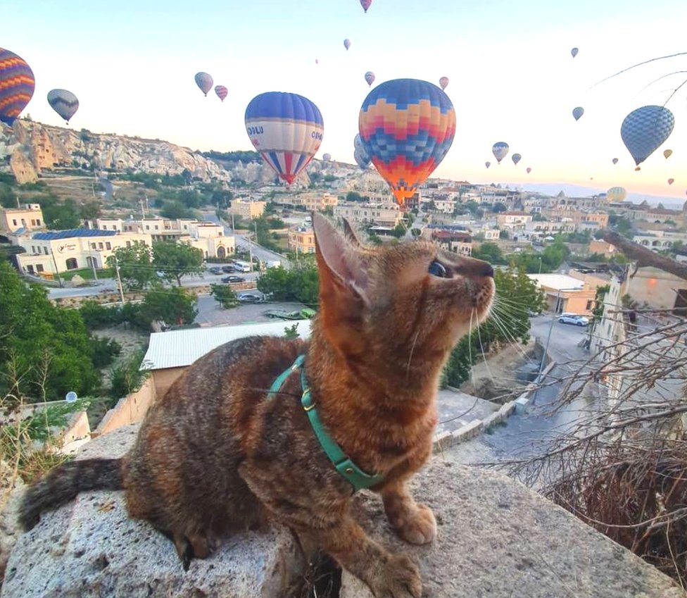 Hot air balloons at the Kelebek Special Cave Hotel