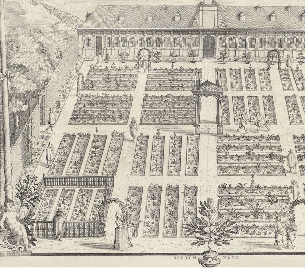 Hortus Botanicus de la Universidad de Leiden, el jardín botánico más antiguo de los Países Bajos.