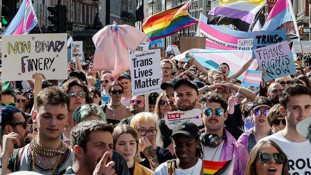 العابرون جنسيا وحلفاؤهم في مسيرة بوسط لندن عام 2019 دعما لحقوق العابرين جنسيا