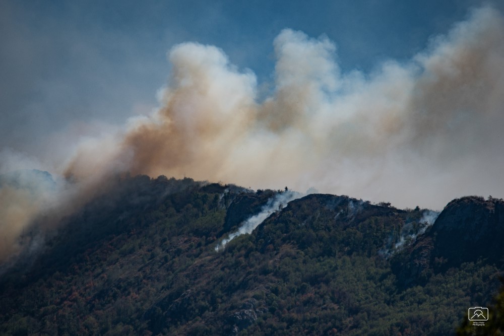 požar, šumski požar u Srbiji, požar na Vidliču