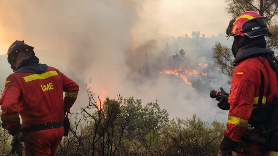 Firefighters were deployed to stop blazes spreading in the Cáceres in western Spain