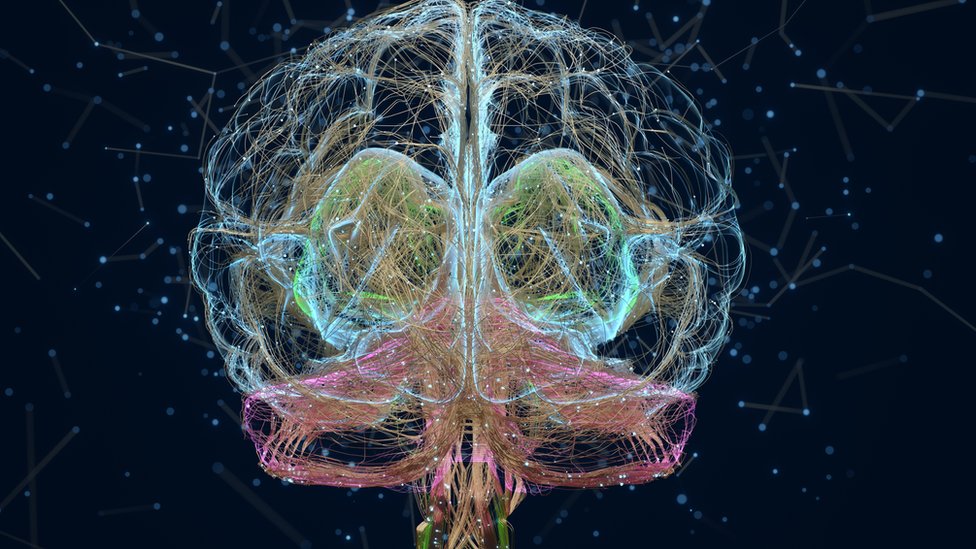 Illustration of neurons in the brain