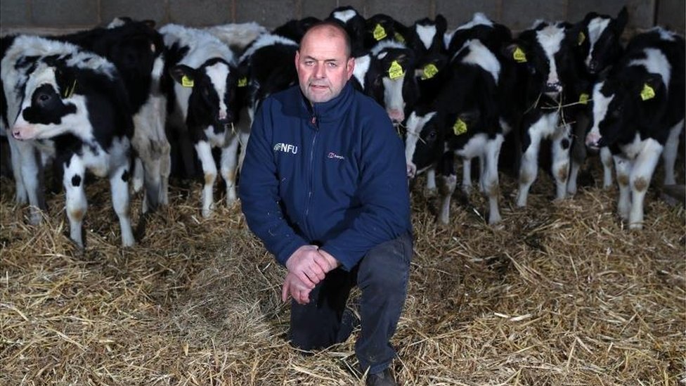 Farmers hit by record straw prices
