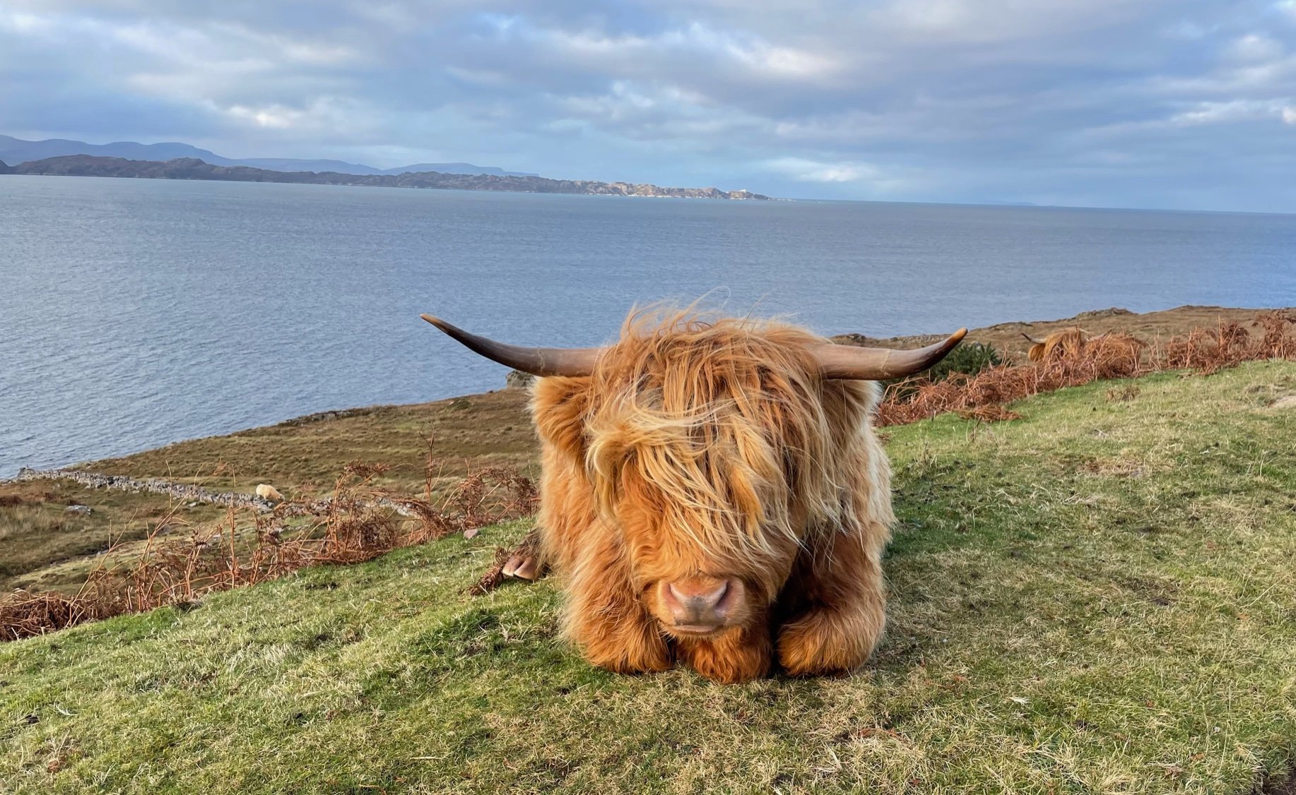 Your pictures of Scotland 27 November - 4 December - BBC News