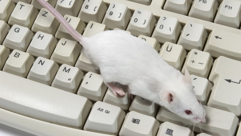 Istraživači se nadaju da bi miševi mogli da čuju nepravilnosti koje promaknu ljudskom uhu