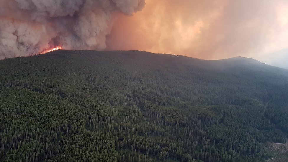 Canada's British Columbia wildfires prompt state of emergency - BBC News