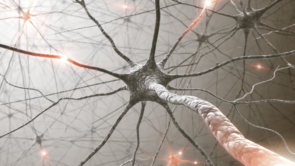 Este tipo de tecnología permitiría añadir una capa de inteligencia artificial en nuestro cerebro. red neuronal