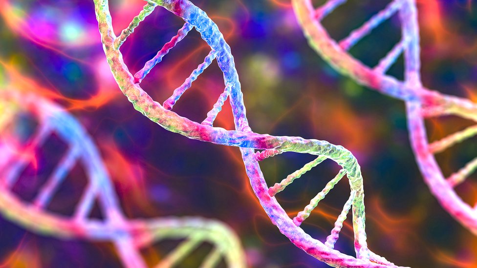 Gap-free human genome sequence completed for first time - BBC News
