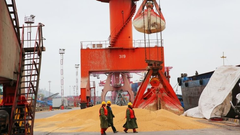 Рабочие проходят мимо импортированных соевых бобов в порту в Наньтуне в китайской восточной провинции Цзянсу 4 апреля 2018 г.