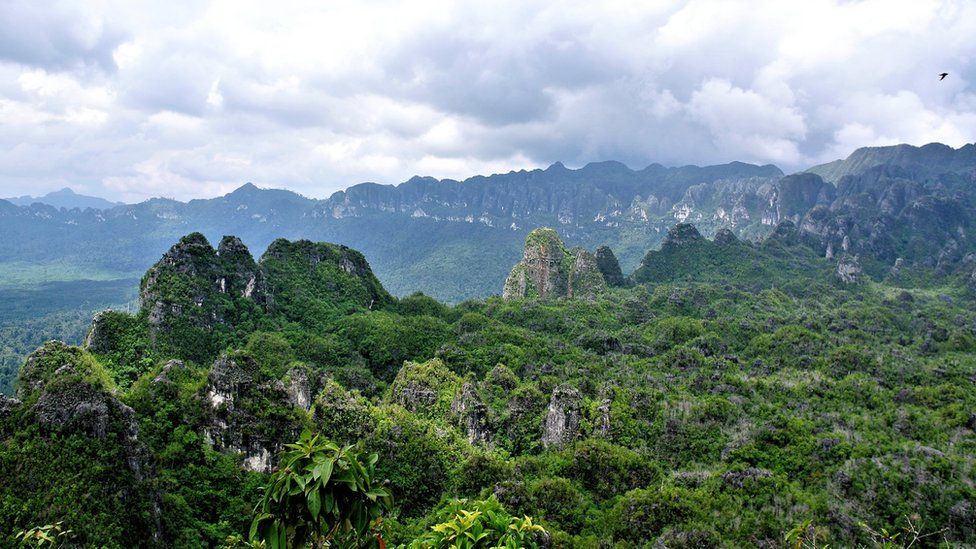 Las cuevas están ubicadas en una región remota y montañosa de Kalimantan Oriental