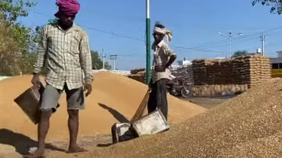ਕਣਕ