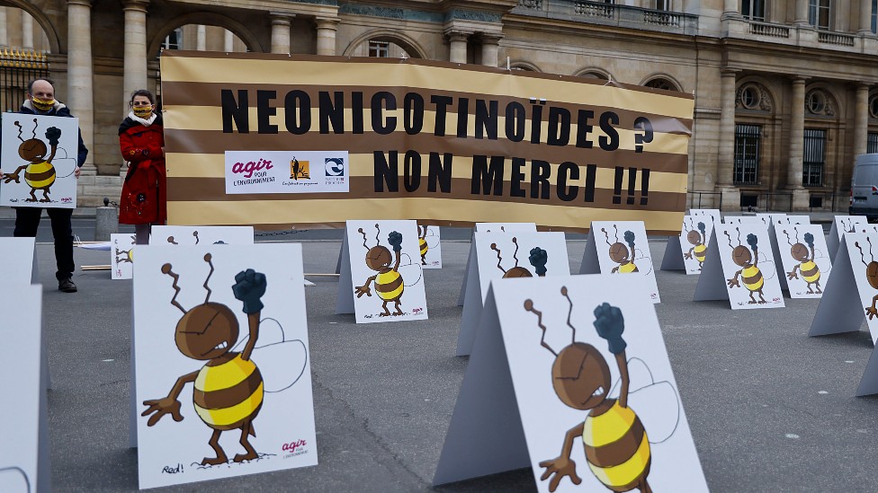 Manifestantes en contra del uso de neonicotinoides con pancartas con ilustraciones de abejas