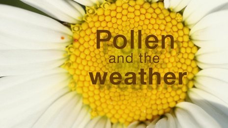 Weather and pollen - BBC Weather