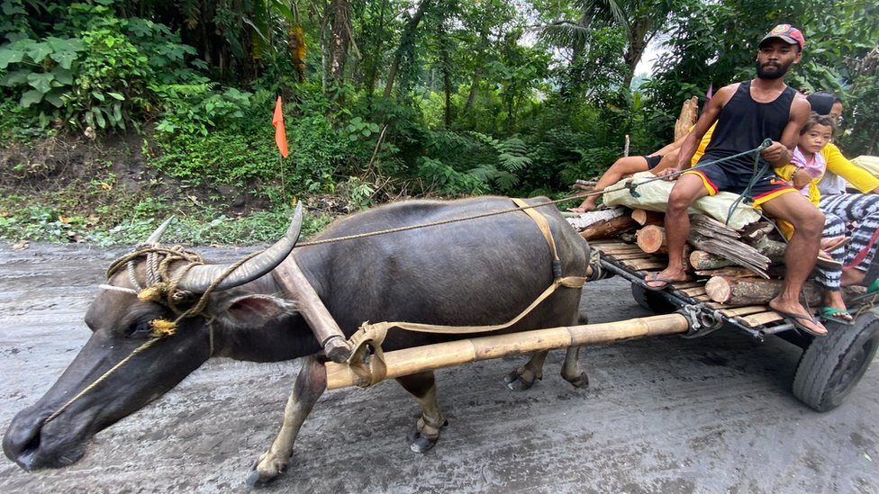 People and animals evacuate from rumbling Mayon volcano in the Philippines