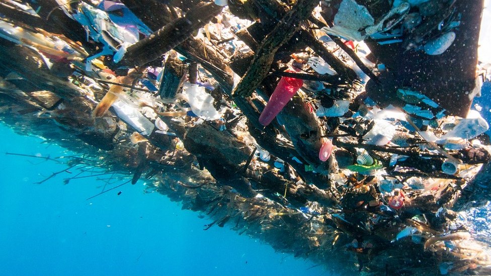 La basura llega en ocasiones a la segunda barrera coralina más grande del mundo. Foto cortesía de Caroline Power. basura flotando
