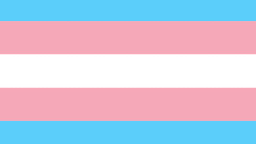 The pink, white and blue transgender flag