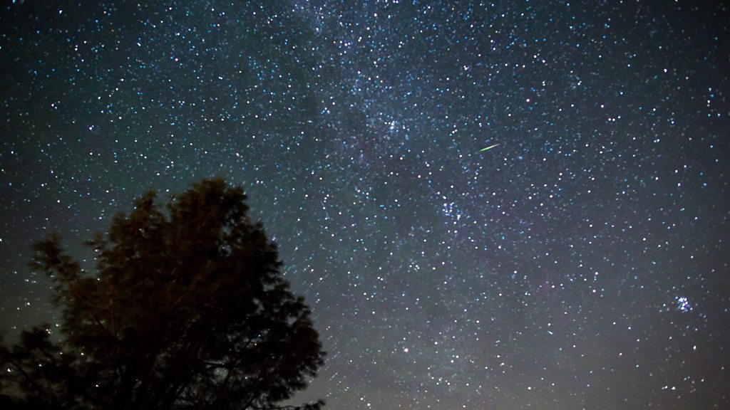 Stargazing in summer - what to look out for - CBBC Newsround