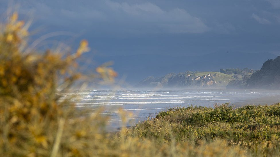 New Zealand earthquakes: Tsunami warnings lifted after evacuations