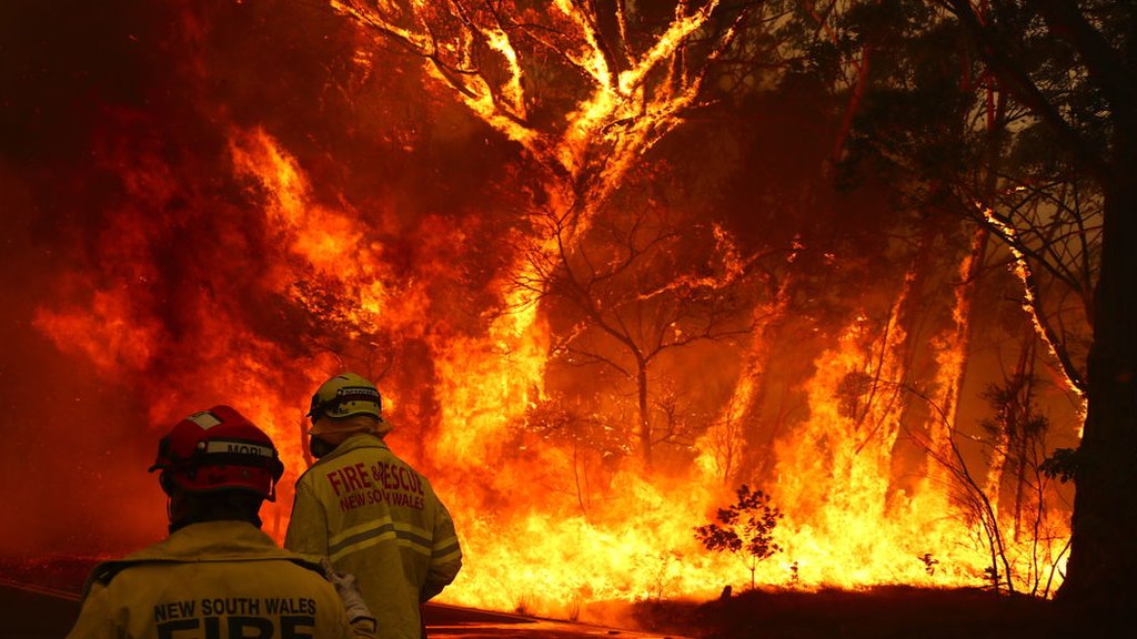 Australia Fires The Huge Economic Cost Of Australia S Bushfires Bbc News