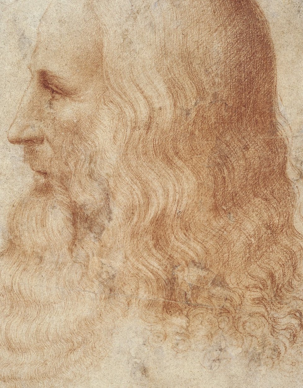 «Портрет Леонардо», выполненный одним из его учеников Франческо Мельци между 1515 - 1518 годами