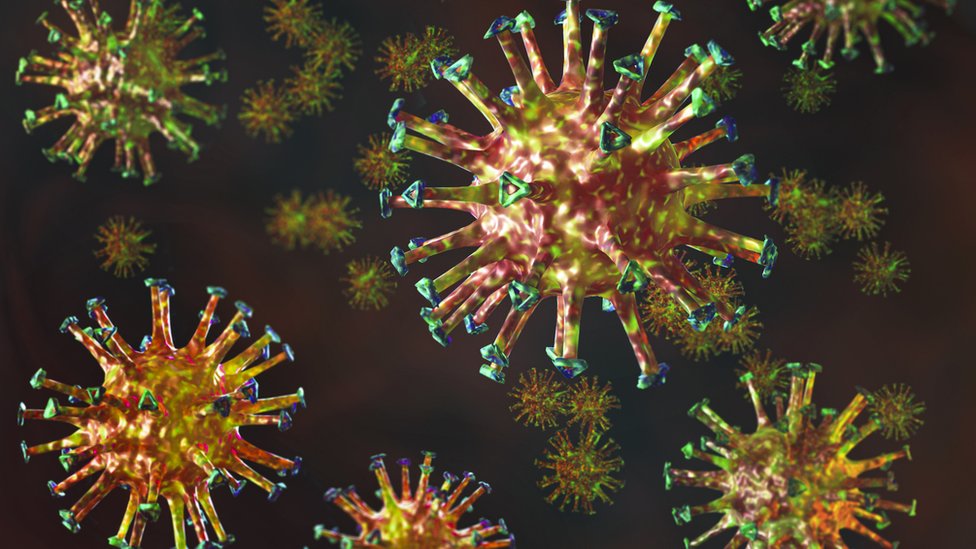 Computer image of the coronavirus