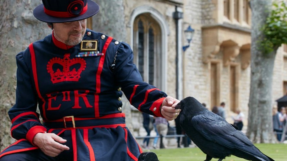 UK Ravens assemble! London 2023 FAQ – UK RAVENS