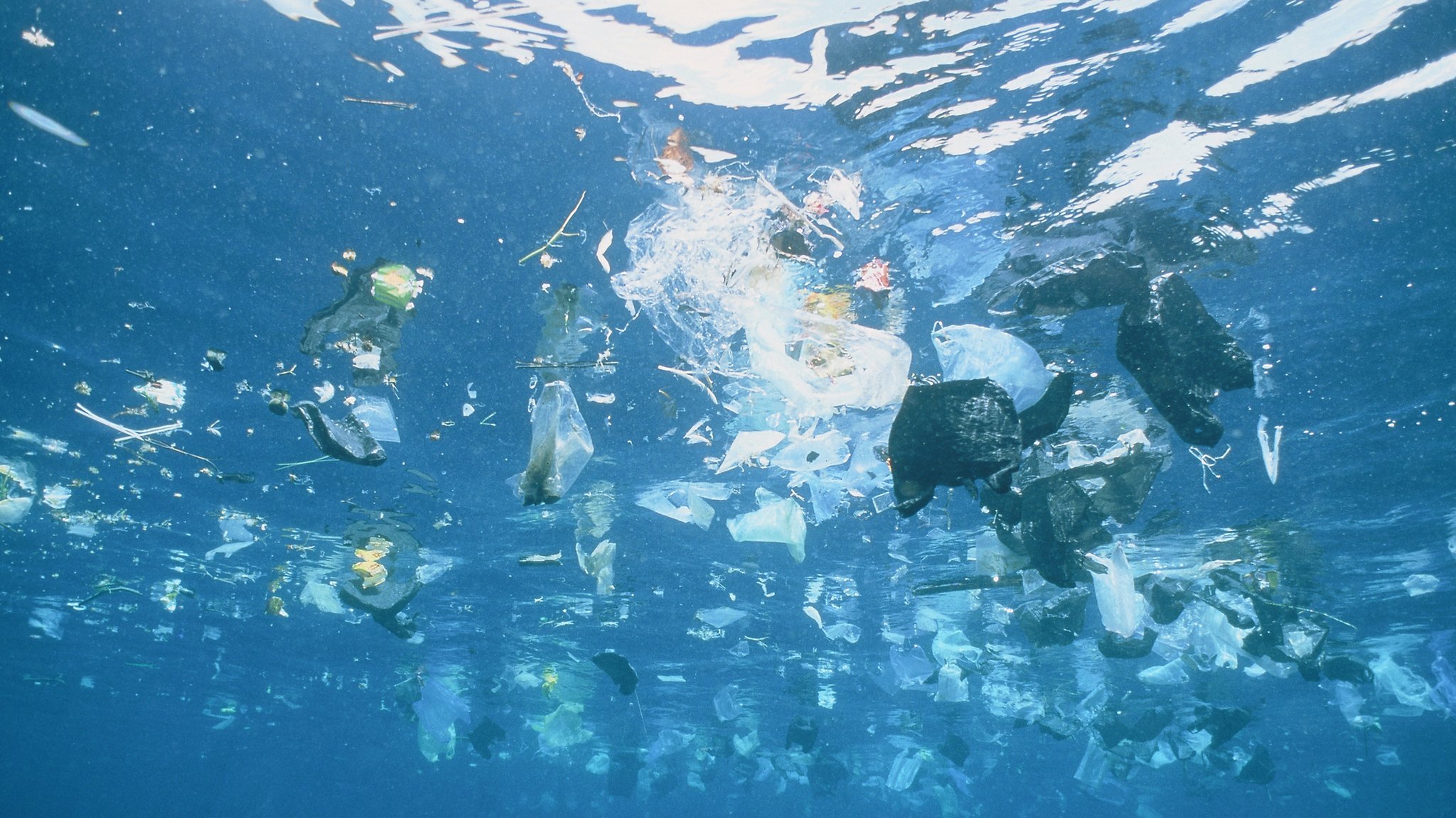 plastika u okeanu