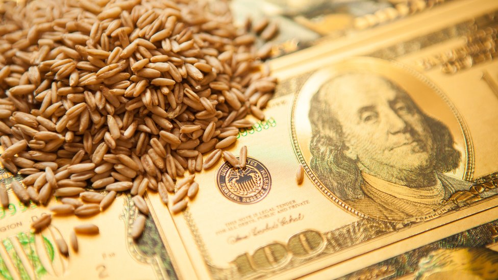 Granos de trigo en billetes de dólar